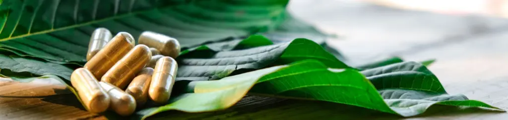 Kratom Withdrawal Duration Symptoms, and Help